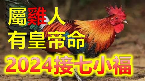 屬雞跟屬雞|屬雞出生年份/幾多歲？屬雞性格特徵+生肖配對+2024。